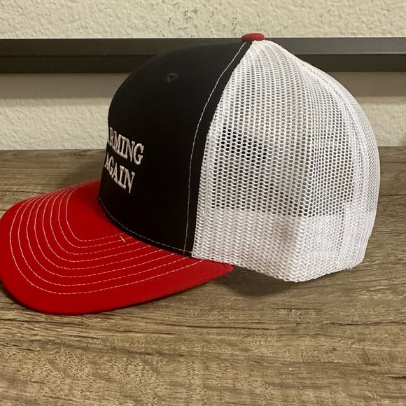 Hat - Picture 2 of 3